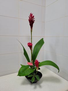 a flower arrangement in a black vase on a counter top with white tiles behind it