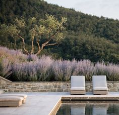 two lounge chairs sitting next to a swimming pool with lavender flowers in the background on a hillside