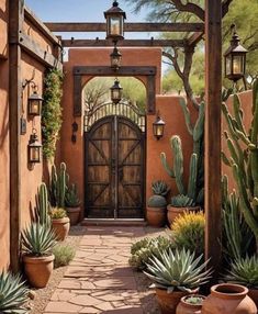 an entrance to a home with cactus and cacti