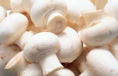 several white mushrooms are piled up together