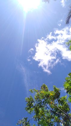 the sun shines brightly through the trees in front of blue skies and white clouds