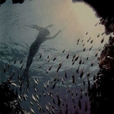 a woman is swimming in the water surrounded by small fish, with her arms outstretched