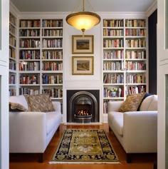 a living room with two couches and a rug in front of a fire place