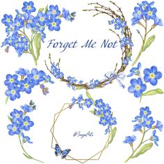 forget me not watercolor clipart set