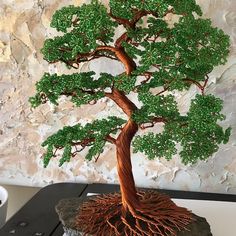 a bonsai tree is shown on top of a rock