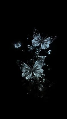 three butterflies flying in the dark with their wings spread out to look like they are floating