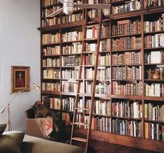 a ladder leaning up against a bookshelf filled with books