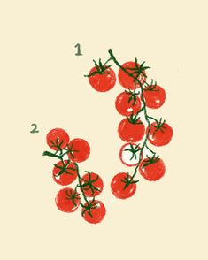 a drawing of tomatoes on a branch with the number one drawn in front of them