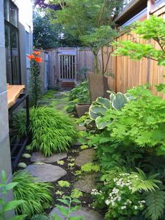 a garden with lots of plants and rocks