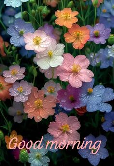 colorful flowers with the words good morning on them