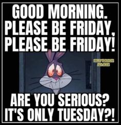 an image of a cartoon bunny saying good morning please be friday, please be friday are you serious? it's only tuesday