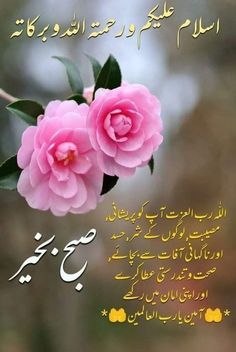 two pink flowers with arabic writing on them and an image of the words in english