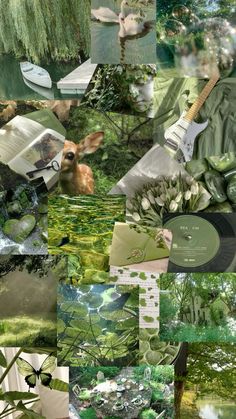 the collage shows many different images with animals and plants in them, including an open book