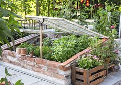 a garden filled with lots of different types of plants