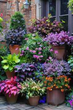 a bunch of potted plants that are sitting on the ground in front of a building