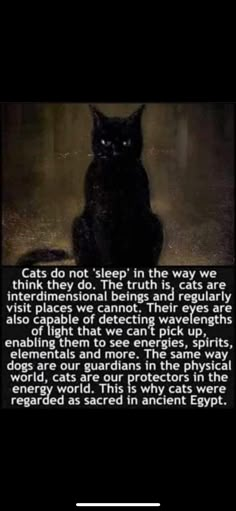 a black cat sitting on top of a floor next to a quote from the book cats do not sleep in the way we are