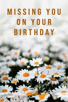 daisies with the words missing you on your birthday written in orange and white letters