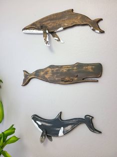 three metal whale wall hangings on a white wall next to a potted plant