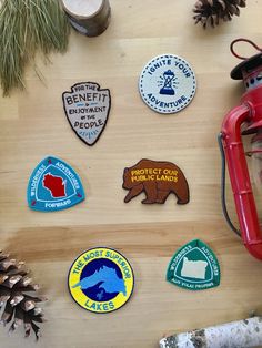 several stickers on a wooden surface with pine cones and other items around them,