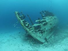 an old ship in the ocean with seaweed on the bottom and water around it