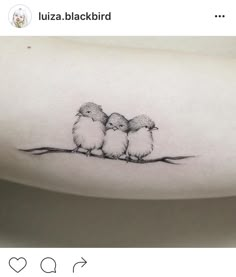 three small birds sitting on top of a tree branch tattoo with the word love written below it