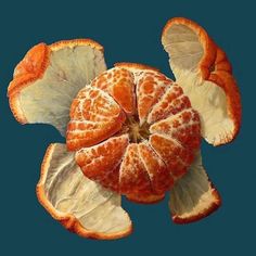 an orange cut in half on a blue background