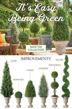 the instructions for how to make topiary trees in pots and vases with text that reads, it's easy being green