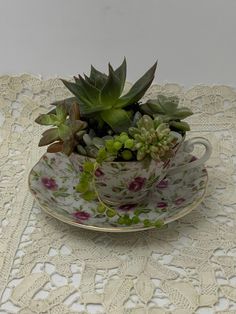 a tea cup with succulents in it sitting on a doily covered table