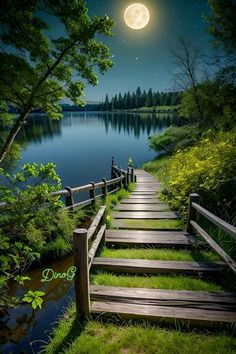 a wooden path leading to the water under a full moon