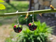 A beautiful pair of lampwork blackberry earrings, with solid 925 sterling silver Blackberry Earrings, Solid 925 Sterling Silver, Blackberry, Jewelry Earrings Dangle, Etsy Earrings, Etsy Accessories, Dangle Drop Earrings, Dangle Earrings, Jewelry Earrings