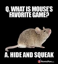 a mouse with the caption q what is mouse's favorite game? a hide and sqeak