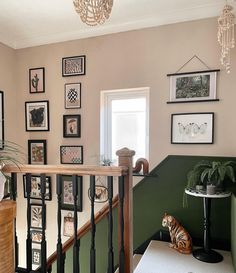 there is a cat that is sitting on the stairs in front of some framed pictures