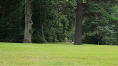 a man is throwing a frisbee in the park