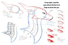 the drawing shows how to draw an animal's head and neck with different angles