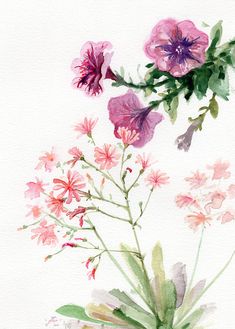 watercolor painting of pink and purple flowers