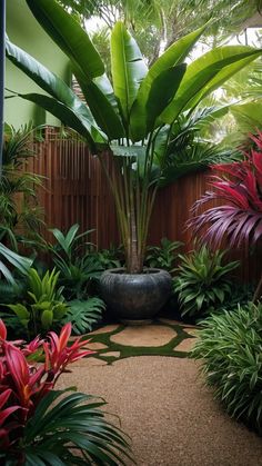 a garden with lots of plants and trees