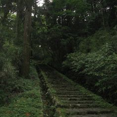 a set of stone steps in the middle of a forest