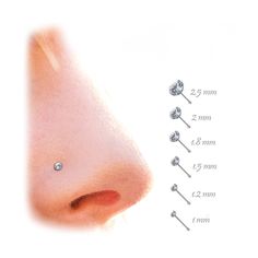 the nose has four different piercings and is shown with measurements for each individual ear