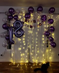 a cat sitting in front of balloons and streamers with the number nine on them