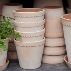 a bunch of clay pots sitting next to each other on top of a table with a plant in the middle