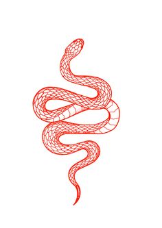 a drawing of a snake on a white background