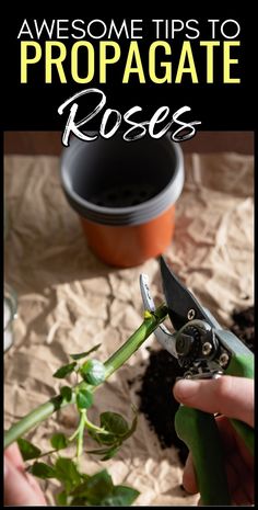 someone is cutting up some plants with scissors and soil in front of the planter