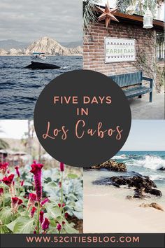 five days in los cabos with text overlaying the image and beach scene