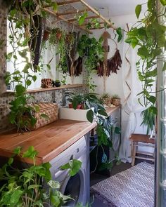 a laundry room filled with lots of green plants and hanging plants above the washer