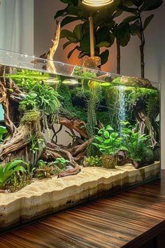 an aquarium filled with plants and rocks on top of a wooden table next to a lamp