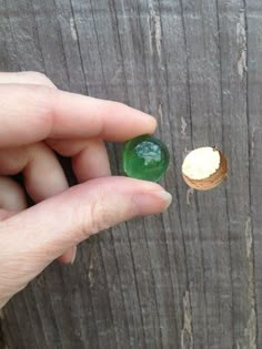 a hand holding a small green and white object in front of a wooden fence post