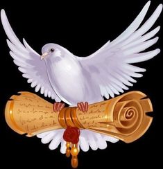 a white bird sitting on top of a scroll