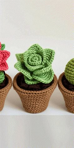 three crocheted pots with flowers in them on a white surface, one is green and the other is brown