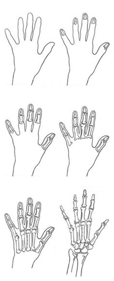 four different types of hands drawn in black and white, each with one hand holding something