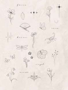 an image of flowers and insects drawn on paper